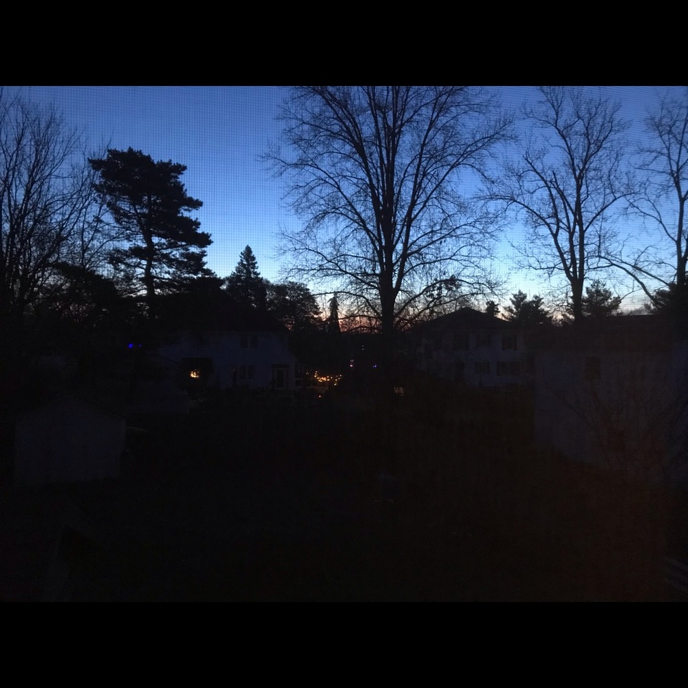 Meet your Posher, Molly